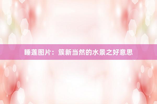 睡莲图片：簇新当然的水景之好意思