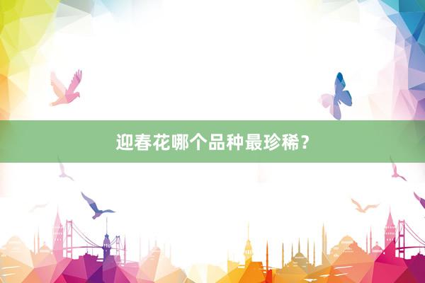 迎春花哪个品种最珍稀？